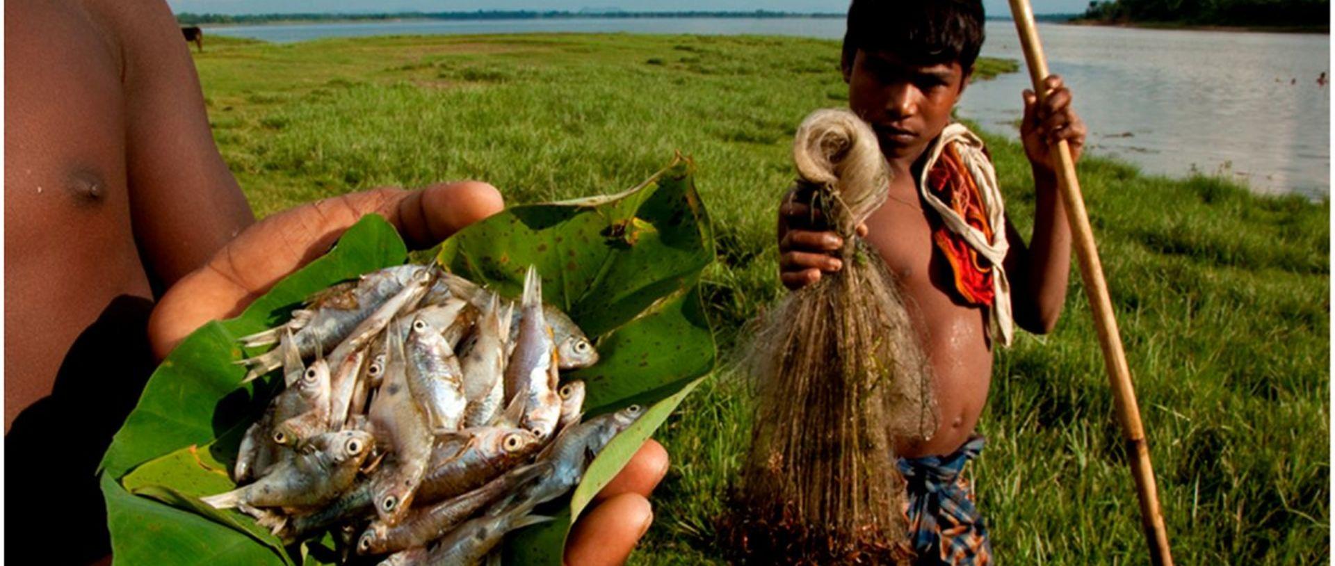 India and other nations need new frameworks that integrate science with policies to enhance human well-being, restore and conserve nature, and build capacity.