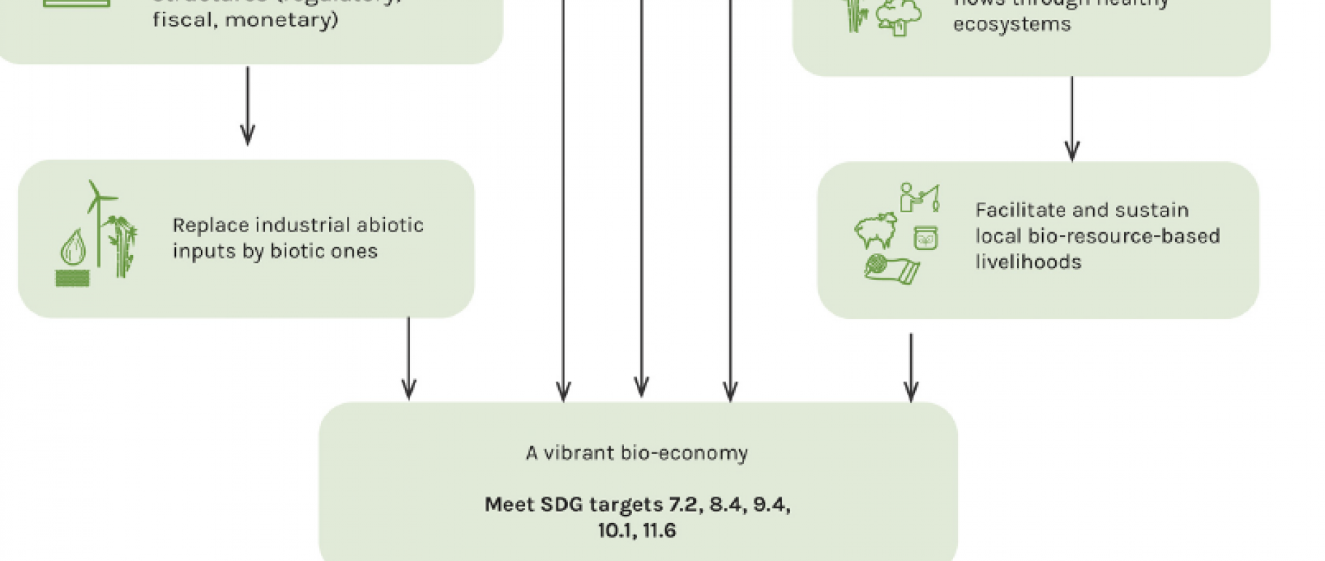 Fig. 6. Objectives and outcomes of Program 6: biodiversity and bio-economy