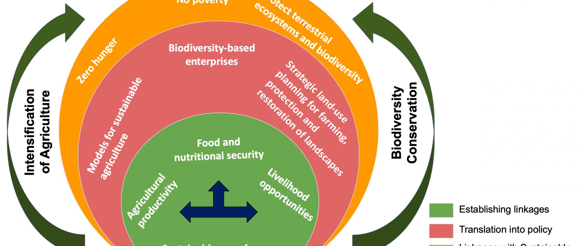 A strategic framework for reconciling biodiversity conservation with agricultural intensification for meeting food and nutritional security and livelihood opportunities, that can help India meet the SDG 2030 targets
