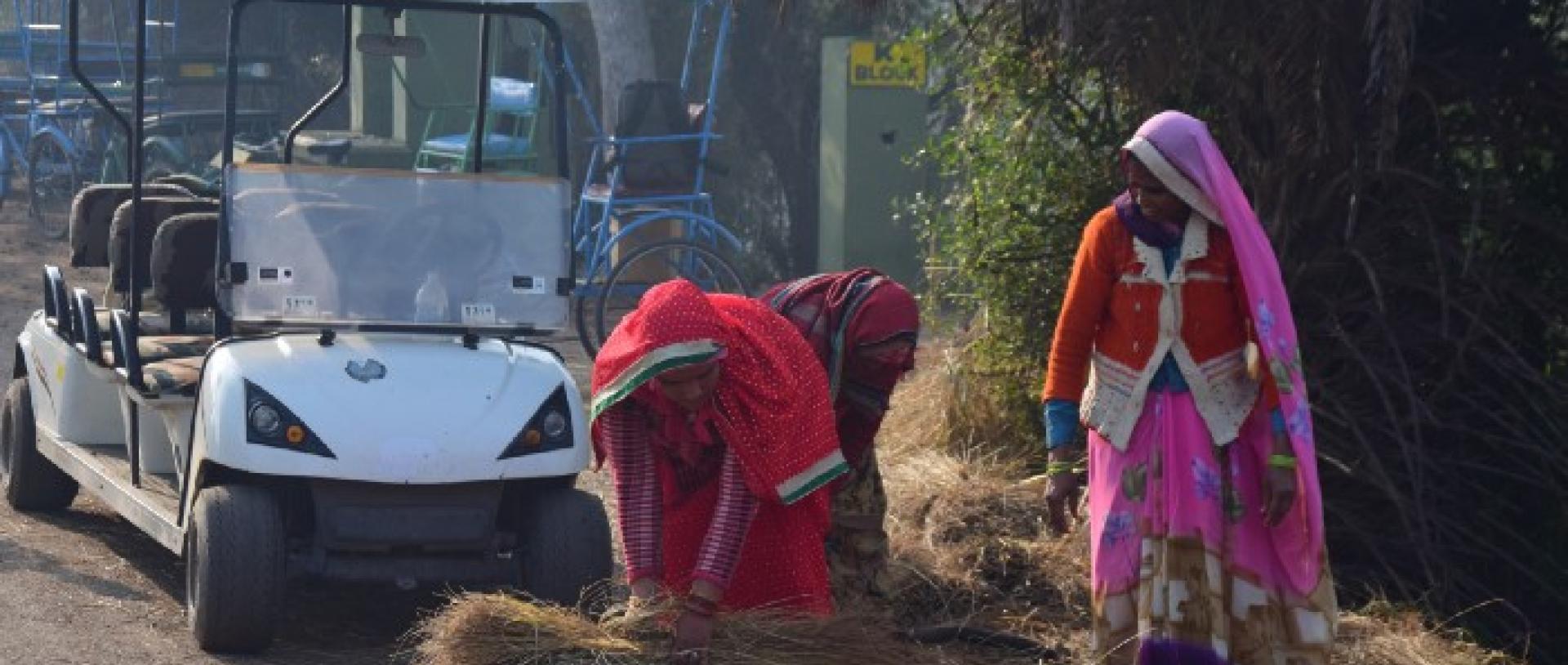 Even with a clear scientific base, able and committed scientists, and assured State support, it may take several decades to marshal the gigantic effort — in the nature of a ‘social movement’ — to restore and sustain Nature for augmenting and sustaining human well-being in India.