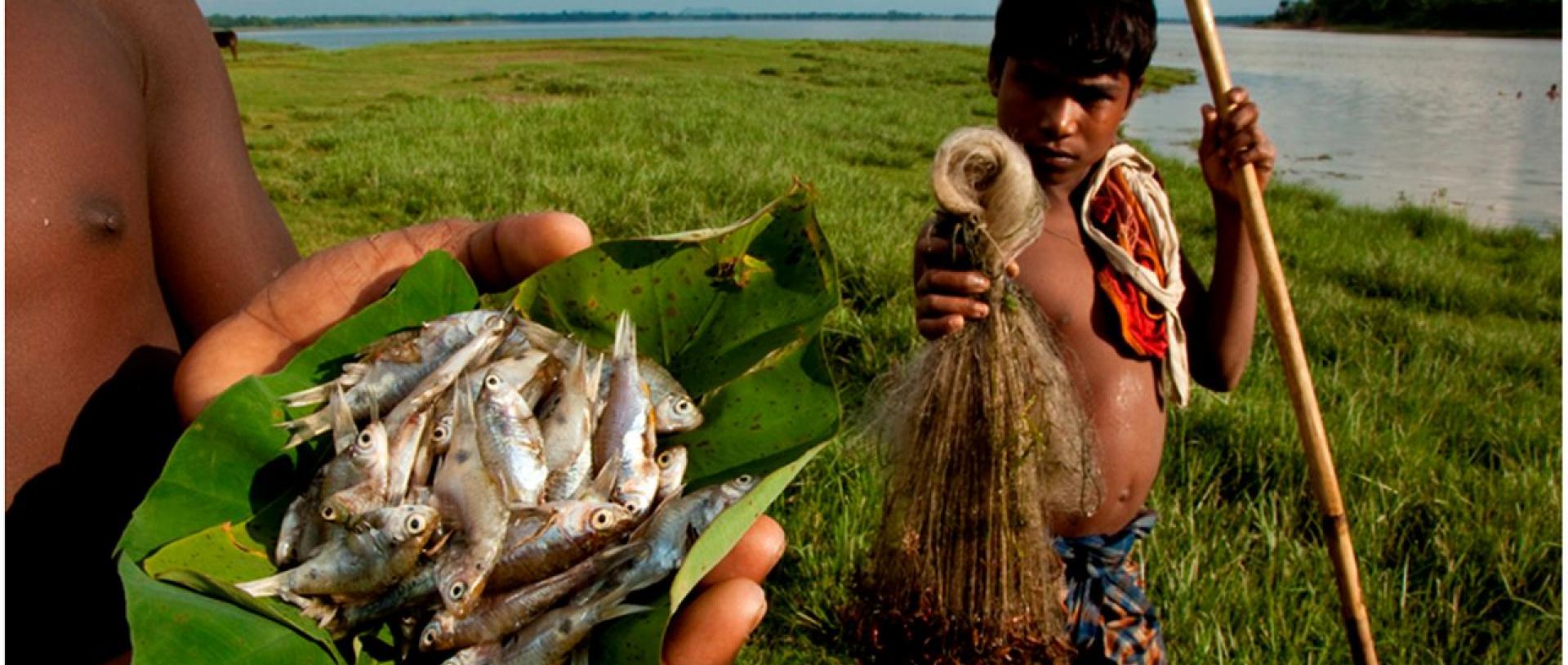 https://news.ncbs.res.in/bigger-picture/national-mission-biodiversity-and-human-well-being-greener-healthier-and-more