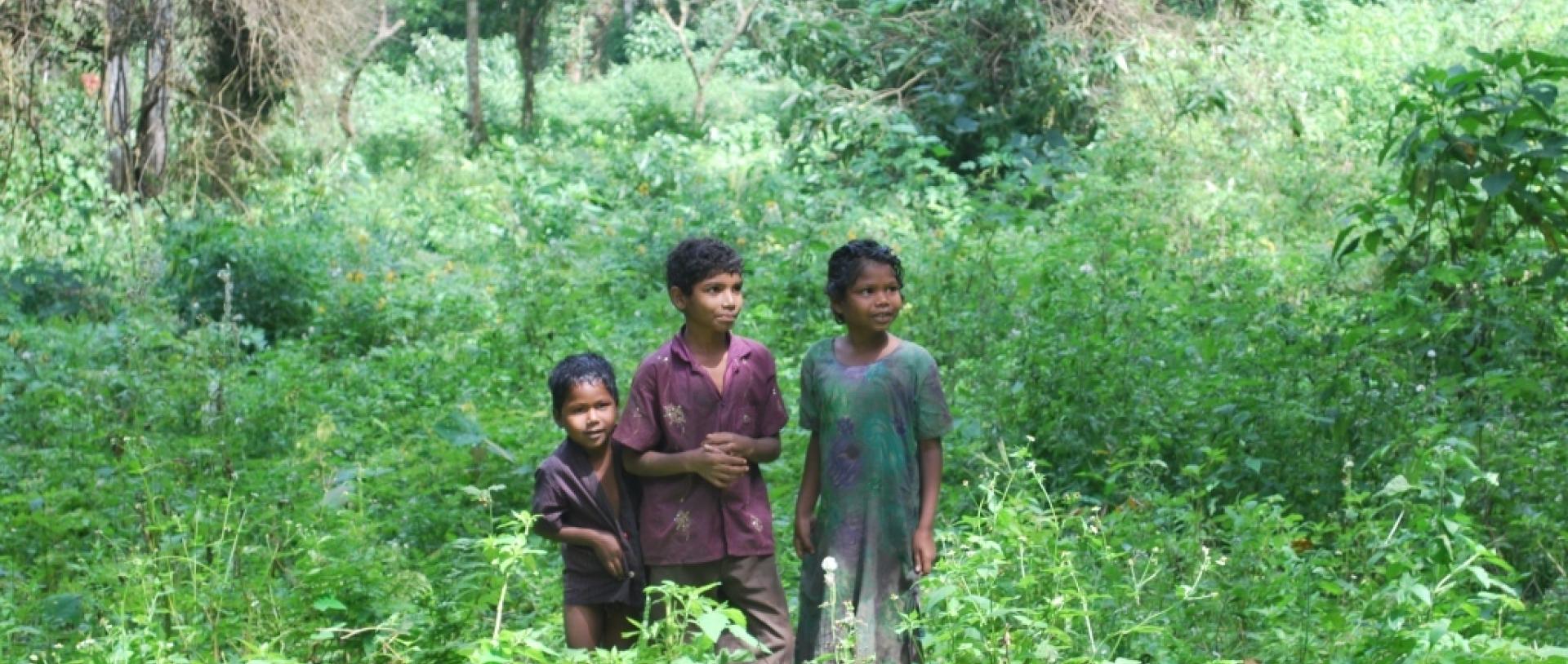A group of children of the Soliga community. Photo: Ravikanth G