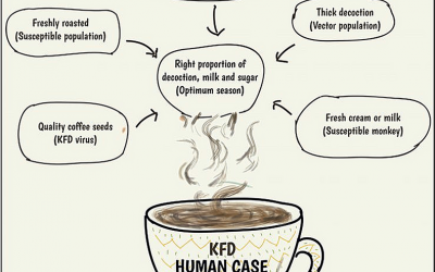 Artificial Intelligence and One Health: Knowledge Bases for Causal Modeling