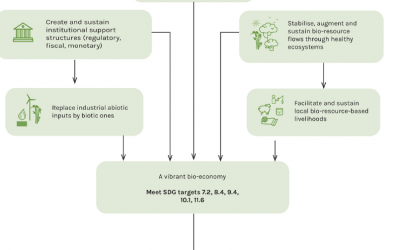Fig. 6. Objectives and outcomes of Program 6: biodiversity and bio-economy