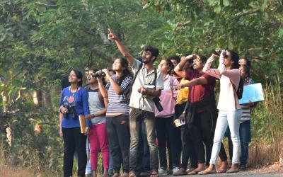 Bird watching photo by Vivek Hasyagar