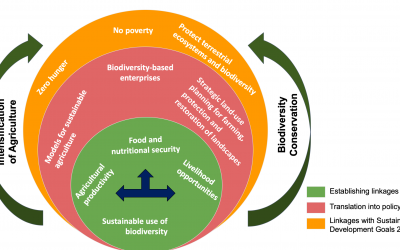 A strategic framework for reconciling biodiversity conservation with agricultural intensification for meeting food and nutritional security and livelihood opportunities, that can help India meet the SDG 2030 targets