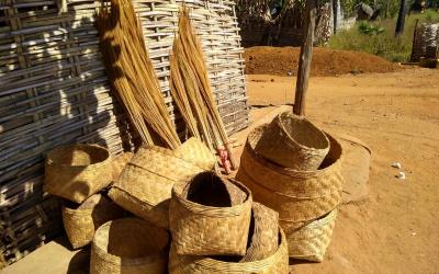 Communities make multiple utensils and products from bamboo in the Northern Eastern Ghats