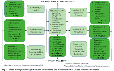 Figure 1 of PNAS article