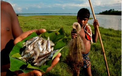 https://news.ncbs.res.in/bigger-picture/national-mission-biodiversity-and-human-well-being-greener-healthier-and-more