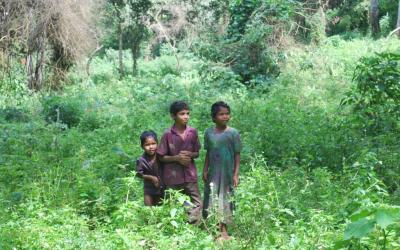 A group of children of the Soliga community. Photo: Ravikanth G