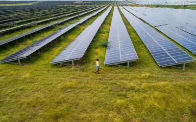 Aerial view of the Pavagada Solar Park, spread across 53 sq. km., in Tumukuru, Karnataka.   | Photo Credit: Getty Images