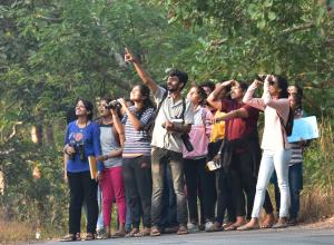 Bird watching photo by Vivek Hasyagar