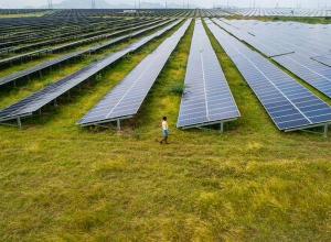 Aerial view of the Pavagada Solar Park, spread across 53 sq. km., in Tumukuru, Karnataka.   | Photo Credit: Getty Images