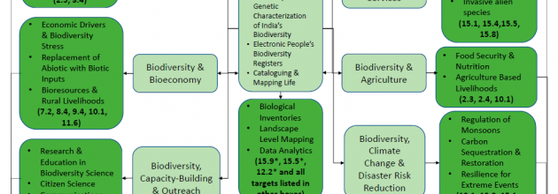 Figure 1 of PNAS article