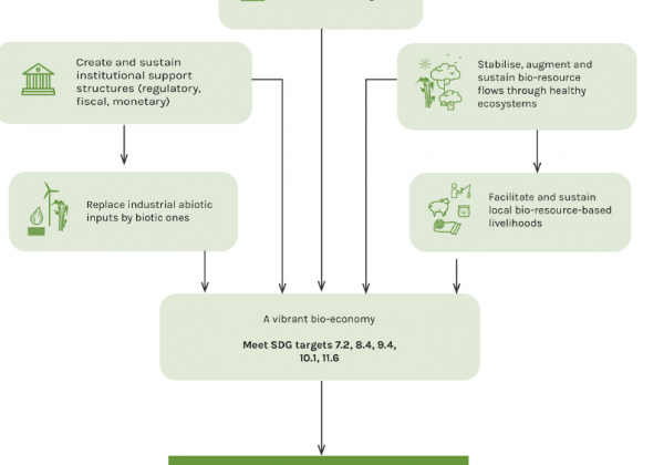 Fig. 6. Objectives and outcomes of Program 6: biodiversity and bio-economy